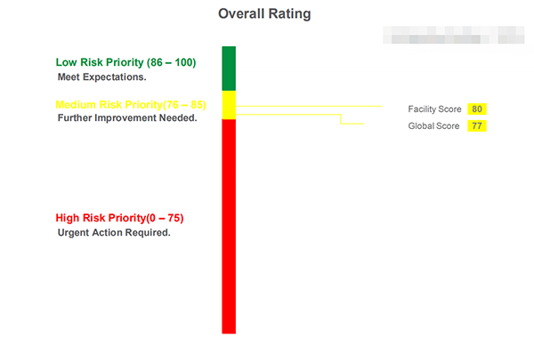 GSV验厂结果及要求特点