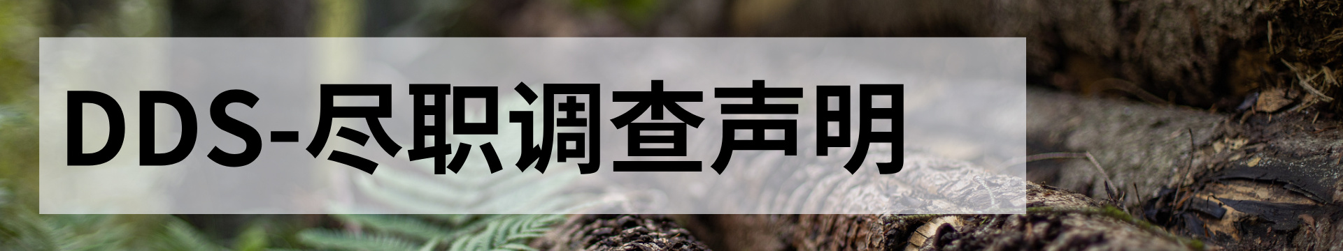 DDS木材追溯报告